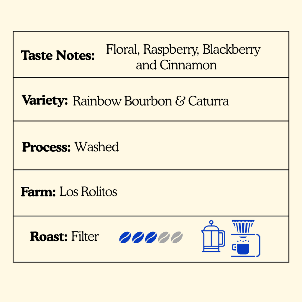 RAINBOW BOURBON & CATURRA